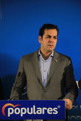 El presidente provincial del PP, Juan Diego Requena/Archivo