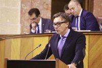 Vox sigue “tendiendo la mano” a PSOE-A y Adelante para que vuelvan a la comisión y sean "útiles" a andaluces