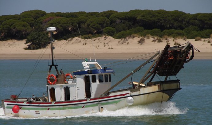 Publicada en BOJA la orden de las ayudas para el sector de la chirla del Golfo d