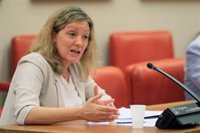 ONG piden a los diputados en la Comisión de Reconstrucción la "regularización extraordinaria" de migrantes