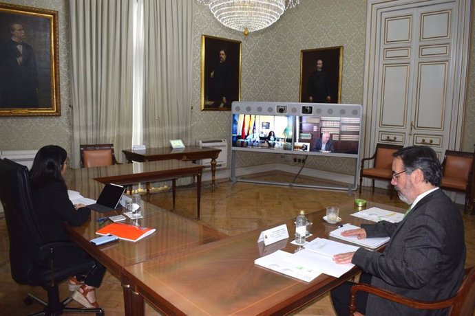 Reunión por videoconferencia de la ministra Darias con Javier Remírez