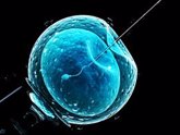 Foto: Casos en los que está indicada la inseminación artificial: Infertilidad de causa desconocida o masculina