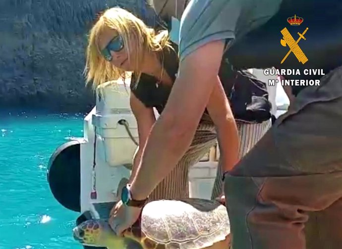 La tortuga boba 'Teresa' vuelve al mar