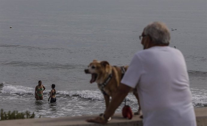 Un hombre con su perro en la Playa de la Malvarrosa, con bandera verde durante el primer día de la Fase 2, cuando se puede acceder a las playas de la misma provincia, isla o unidad territorial de referencia establecida en el plan de desescalada, y cuant