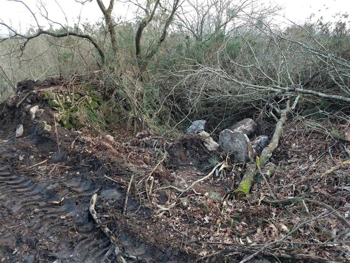 Daños en el camino de Santa Clara de Cornide