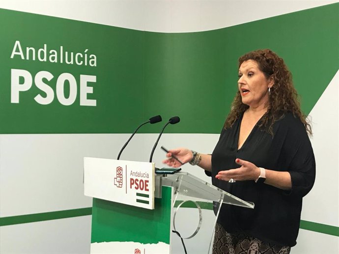 La secretaria de Organización del PSOE de Cádiz y parlamentaria andaluza, Araceli Maese, en una rueda de prensa