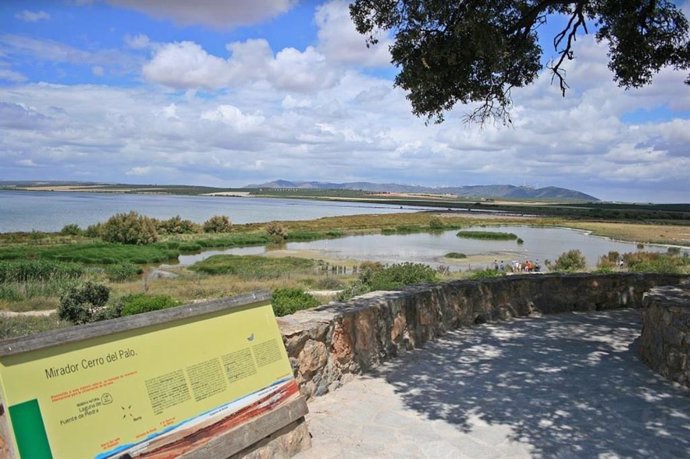 Reserva Natural Laguna Fuente de Piedra