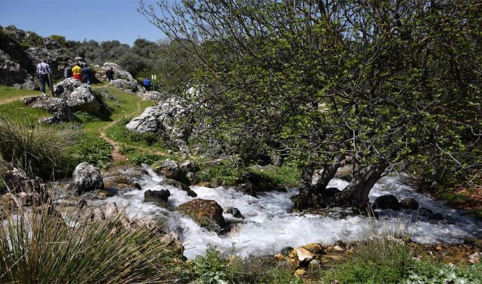 Nacimiento de Riofrío en Granada