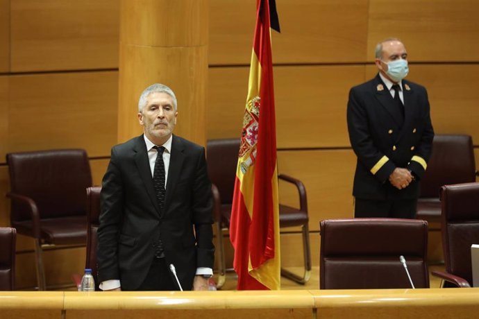 El ministro de Interior, Fernando Grande-Marlaska 