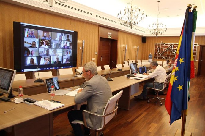 Consejo de Administración de la Autoridad Portuaria de Motril, en reunión semipresencial