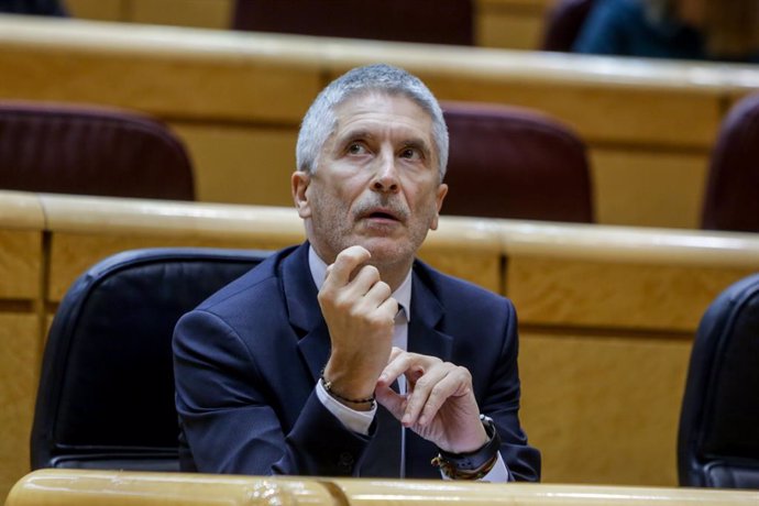 El ministro del Interior, Fernando Grande-Marlaska, momentos antes del inicio del pleno en el Senado 