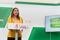 PSOE-A critica que "no funciona" la plataforma de la Junta para la matriculación telemática del próximo curso escolar