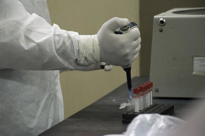 Coronavirus.- Fauci espera que EEUU tenga "cien millones de dosis" de una candid