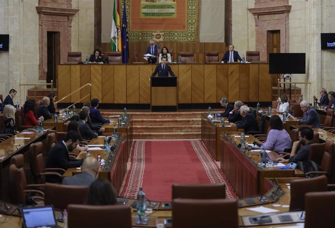 Sesión presencial de la Diputación Permanente del Parlamento de Andalucía. Imagen de archivo.