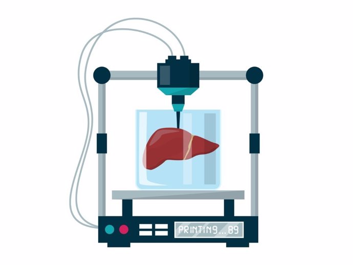 Hígados en laboratorios, ilustración.