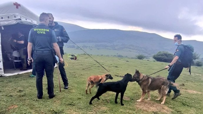 Perros especializados en el dispositivo de búsqueda del joven desaparecido en Campoo