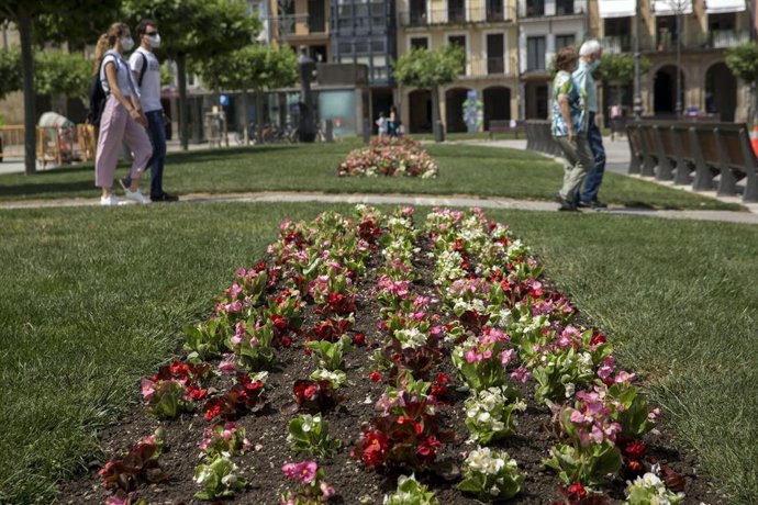 El Ayuntamiento de Pamplona comienza esta semana la plantación de parterres de flor de primavera