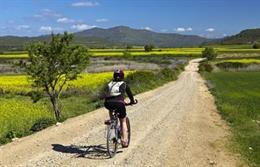 Una cicloturista recorre una de las vías ciclables de Navarra