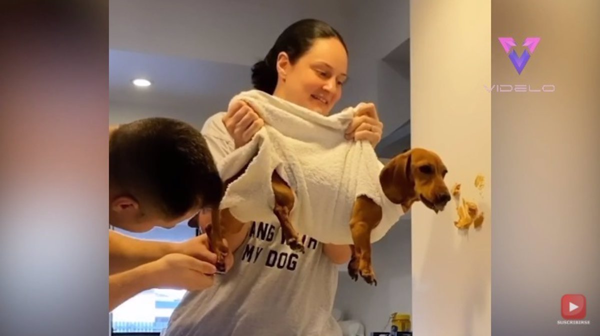 Esta mujer encuentra un truco para cortar las uñas a un perro
