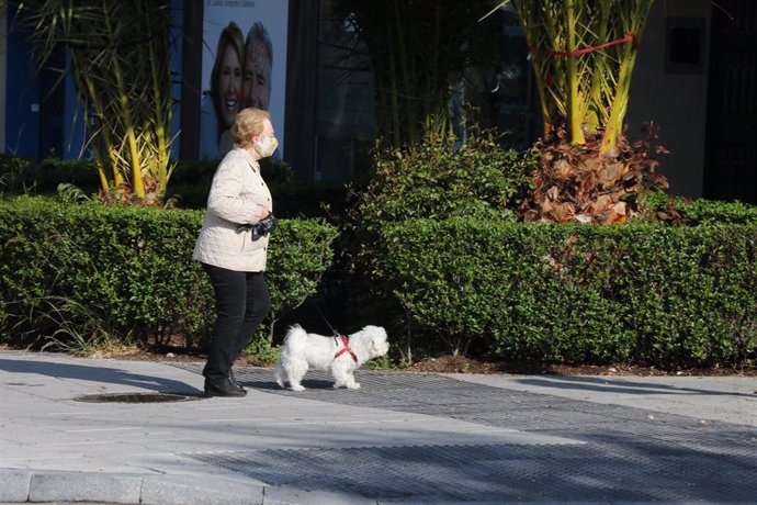 Una persona pasea un perro por las calles de la capital en plena pandemia del coronavirus. En Madrid, (España), a 8 de abril de 2020.