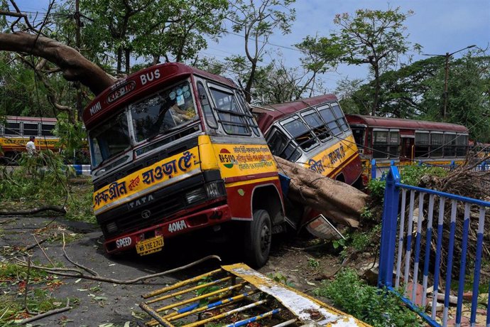 Un autobús destrozado por la caída de un árbol en India por el paso de un ciclón. 