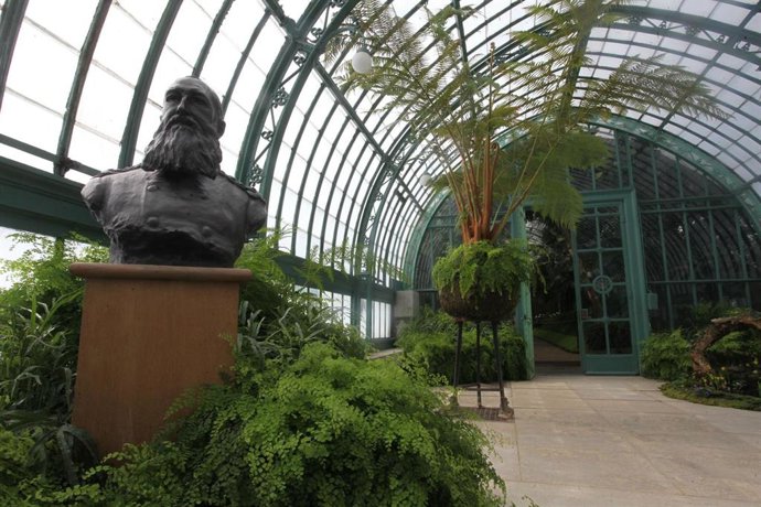 Busto del rey Leopoldo II de Bélgica en el invernadero del Palacio Real en Bruselas