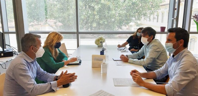 Reuniones de la Diputación con las federaciones deportivas para retomar la actividad lo antes posible