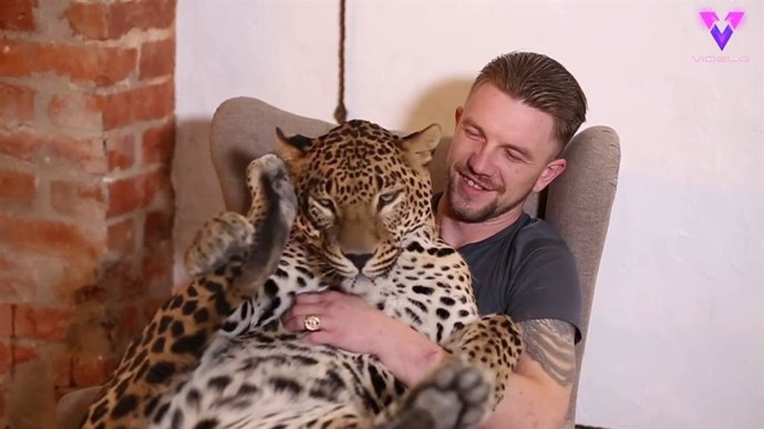 Un ex cuidador de un zoológico de Rusia adopta a un leopardo después de que éste cayera enfermo tras su marcha