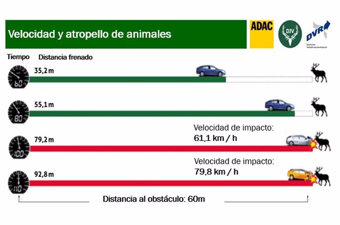 Relación entre la velocidad y los atropellos de animales