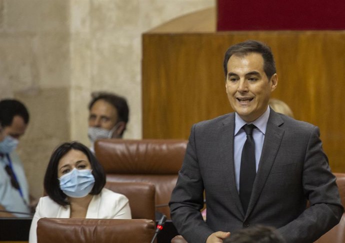 El portavoz del grupo parlamentario popular, José Antonio Nieto, durante la sesión de control al gobierno con preguntas al presidente de la Junta, Juanma Moreno. En el Parlamento de Andalucía, Sevilla (Andalucía, España), a 4 de junio del 2020.