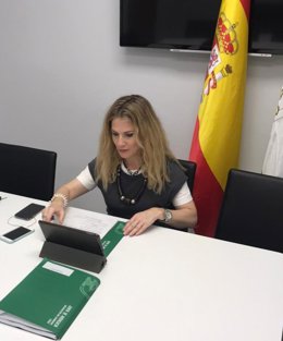 Cádiz.- La Junta dedica casi 17 millones a Infoca en Cádiz y apuesta por la mode