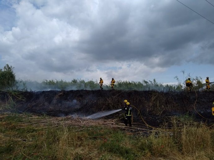 Extinción de un incendio forestal en el Torrent de Sant Miquel, el cuarto incendio en Sa Pobla en menos de 48 horas.