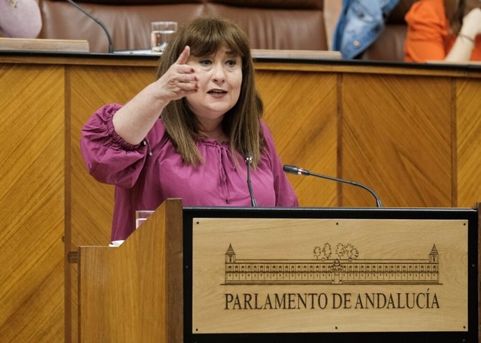 La parlamentaria del PSOE-A Soledad Pérez, en el Pleno del Parlamento andaluz.