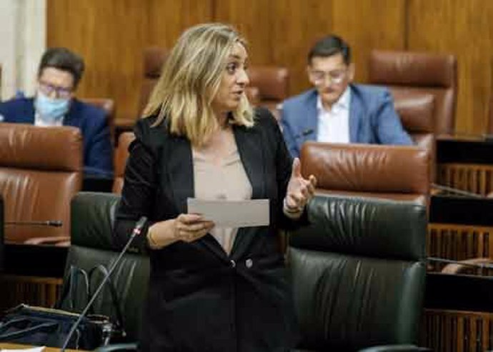 La consejera de Fomento, Marifrán Carazo, este jueves en el Pleno del Parlamento. 