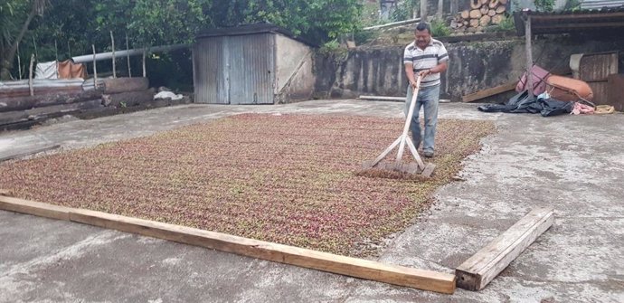 COMUNICADO: EthicHub comercializará el café de sus agricultores