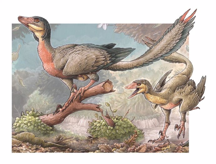 Pequeño dinosaurio carnívoro con alas descubierto en la Patagonia argentina