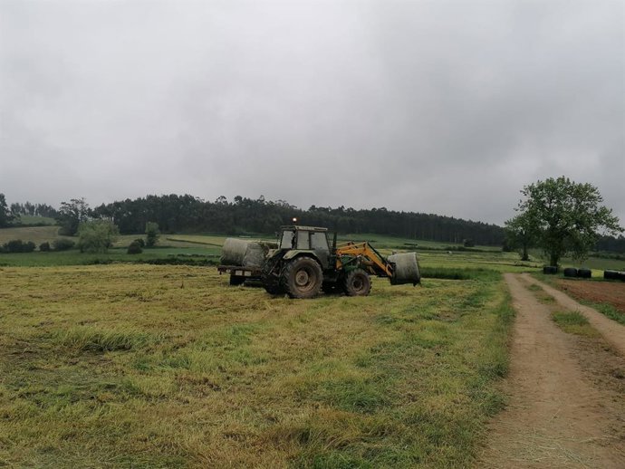 Trabajos en el campo, rural, agricultura, PAC, tractor.
