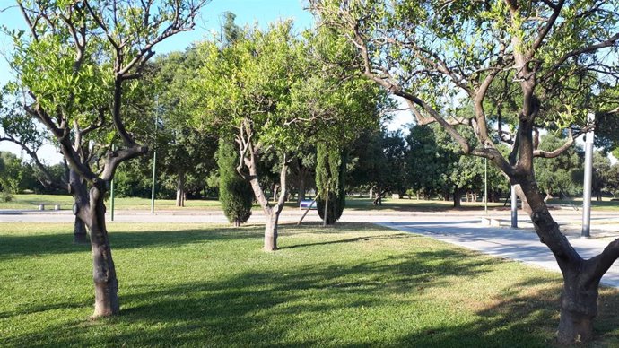 Parque del Alamillo, que ha renovado el certificado como Jardín de Excelencia Ecológica que obtuvo en 2018