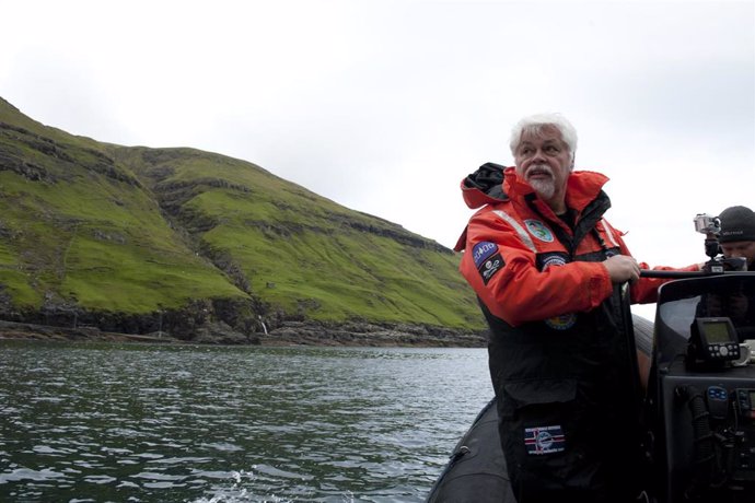 Discovery Channel celebra el Día Mundial de los Océanos con el estreno de varios documentales
