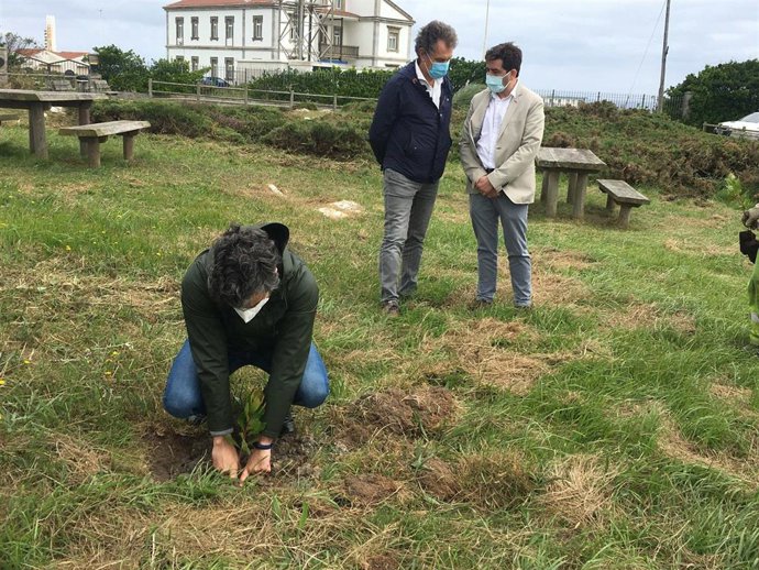El Consejero De Desarrollo Rural, Agroganadería Y Pesca, Alejandro Calvo, Planta Un Árbol En El Paisaje Protegido De Cabo Peñas.