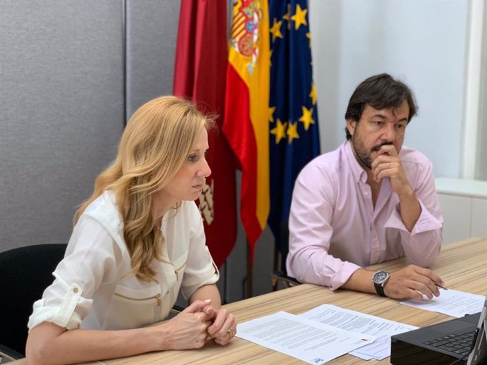 El consejero Miguel Motas y la directora general del SEF, Marisa López Aragón, durante la reunión por videoconferencia de la Comisión de Vigilancia del Empleo Covem 20.