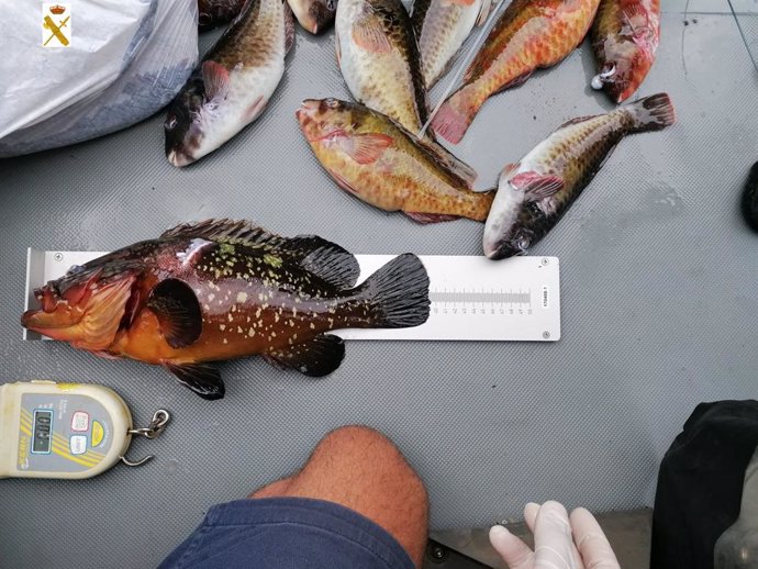 Suc.- Sorprenden a dos hombres con 15 kilos de pescado mientras practicaban pesc