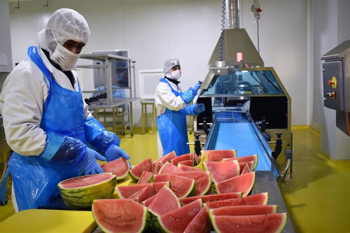 GRUPO ALIMENTARIO CITRUS