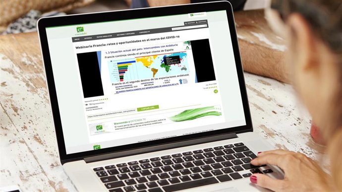 Imagen del seminario online celebrado por Extenda sobre Francia. 