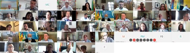 Reunión telemática de la Ejecutiva y el Consejo Municipalista de la FAMP.