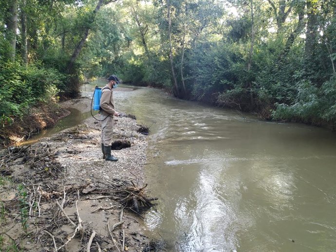 Tratamientos contra la mosca negra en la Comarca de Los Monegros