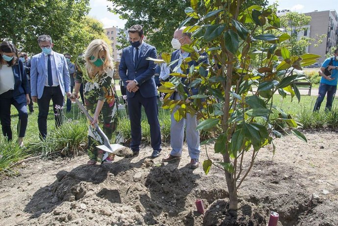 Plantación de árboles en el Tico Medina