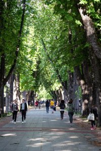 Gobierno Vasco ve la fase 3 como "un nuevo paso hacia la nueva normalidad"