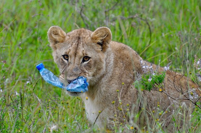Kenia.- Kenia prohíbe el uso de botellas de plástico de un solo uso en espacios 