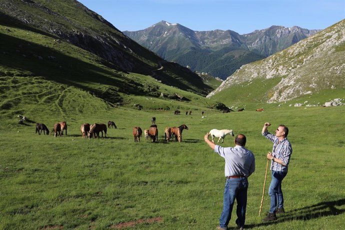 El consejero de Ganadería, Guillermo Blanco, y el alcalde de Camaleño, durante la subida del ganado al puerto de Áliva